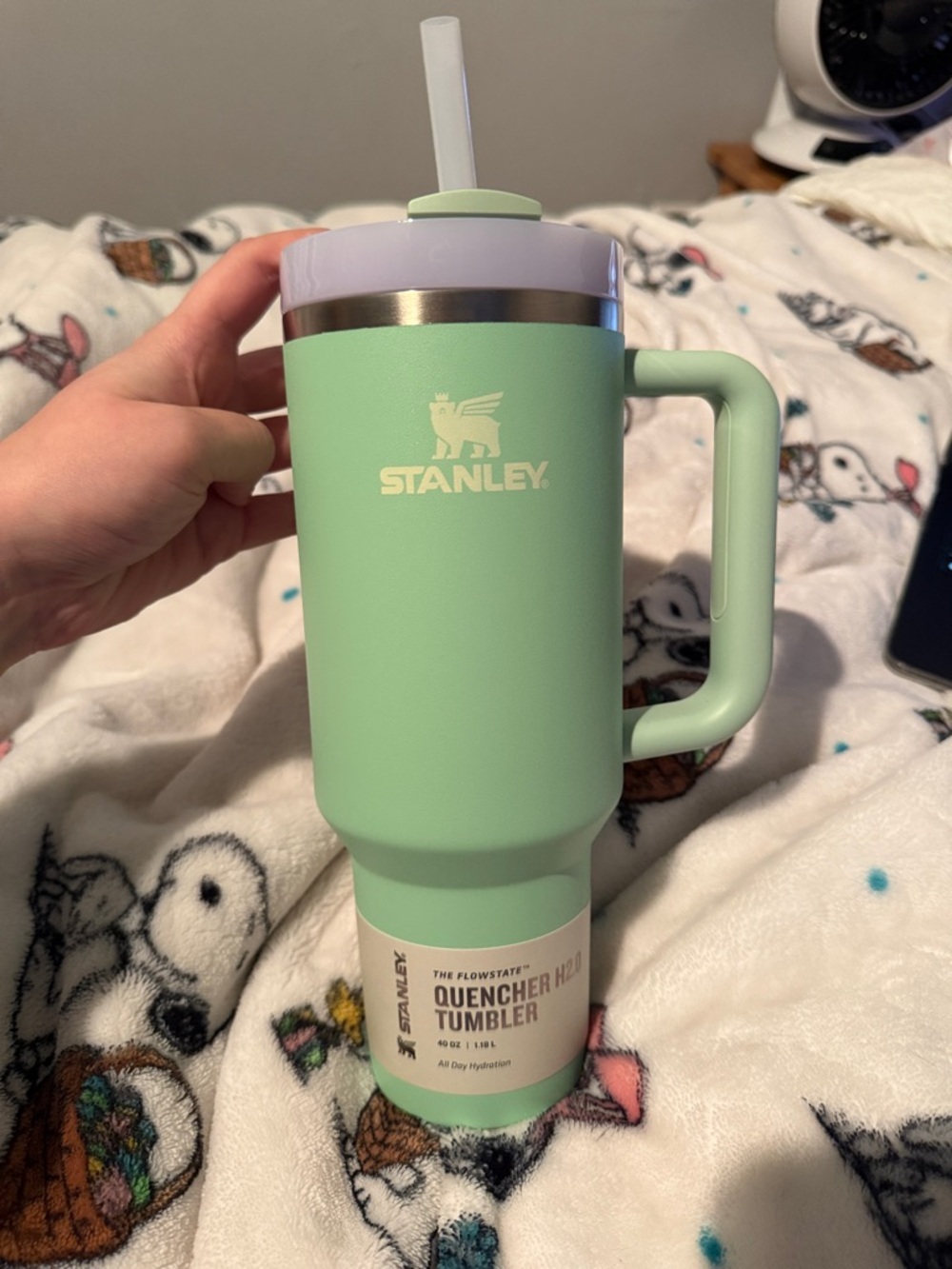 Stanley Mint Green Quencher Tumbler with Handle and Straw Lid
